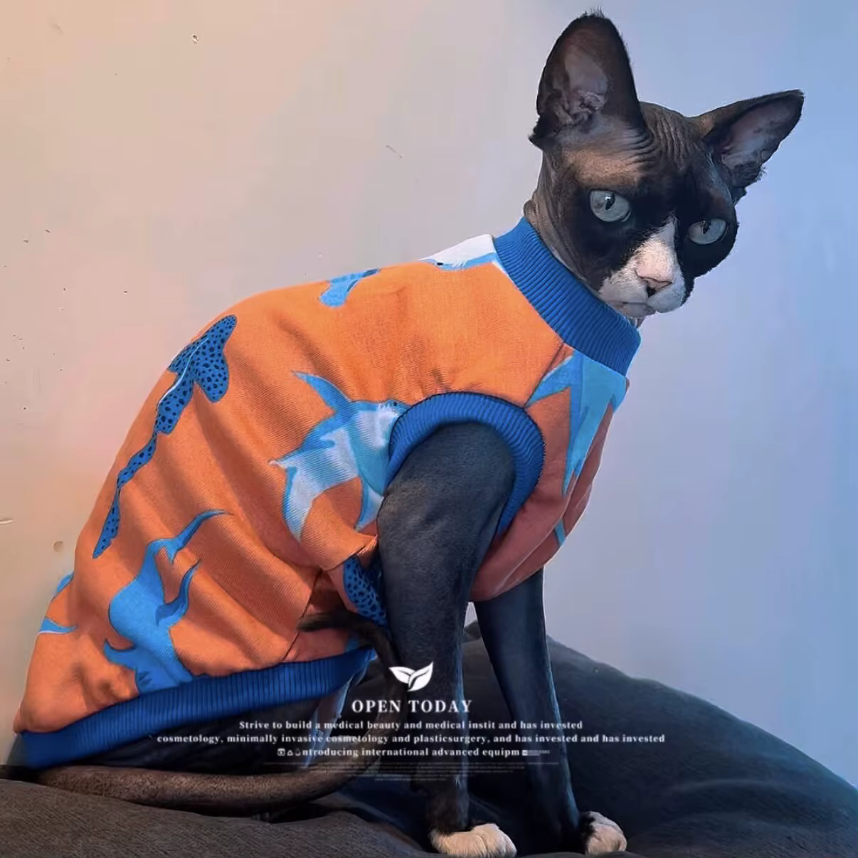 Abrigo para Gato Sphynx – Ropa Suave para Gatitos
