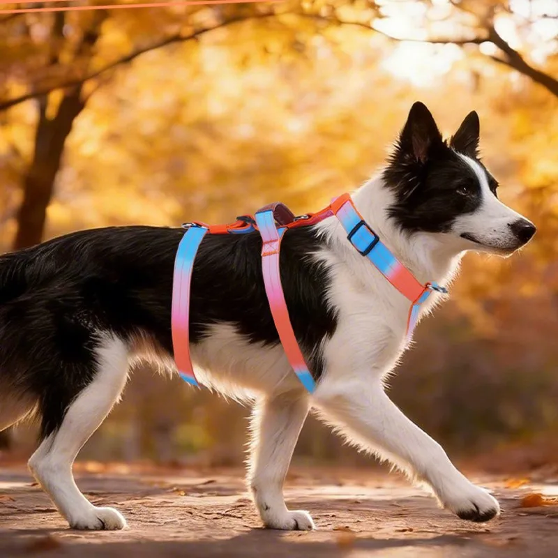 Arnés antipullido para perros grandes – Chaleco antiescape - imagen 3