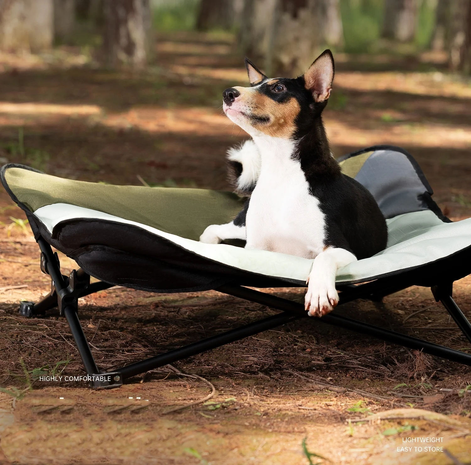 Cama elevated para mascotas con estructura metálica