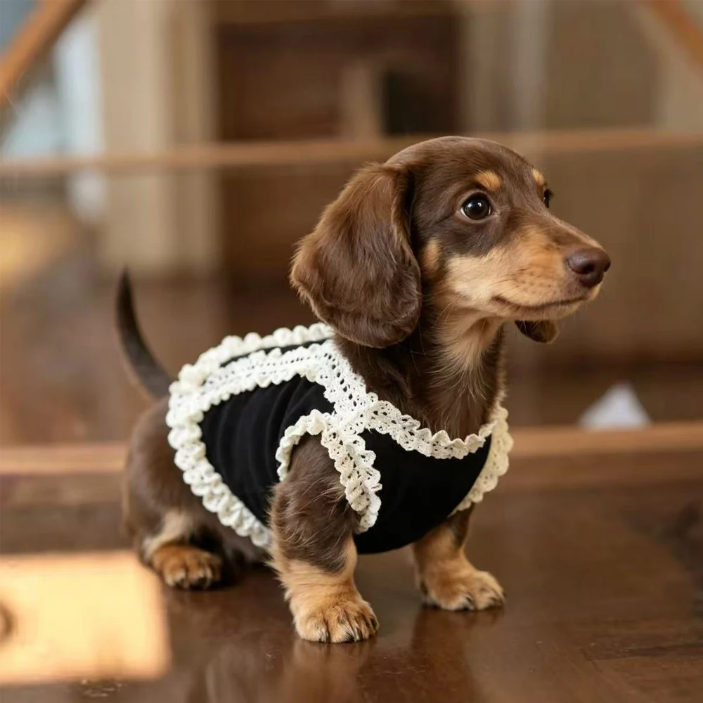 Vestido floral de algodón sin mangas para perras Dachshund - imagen 5