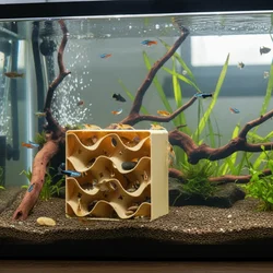 Cueva de Arenisca Natural para Acuario – Refugio para Peces y Camarones