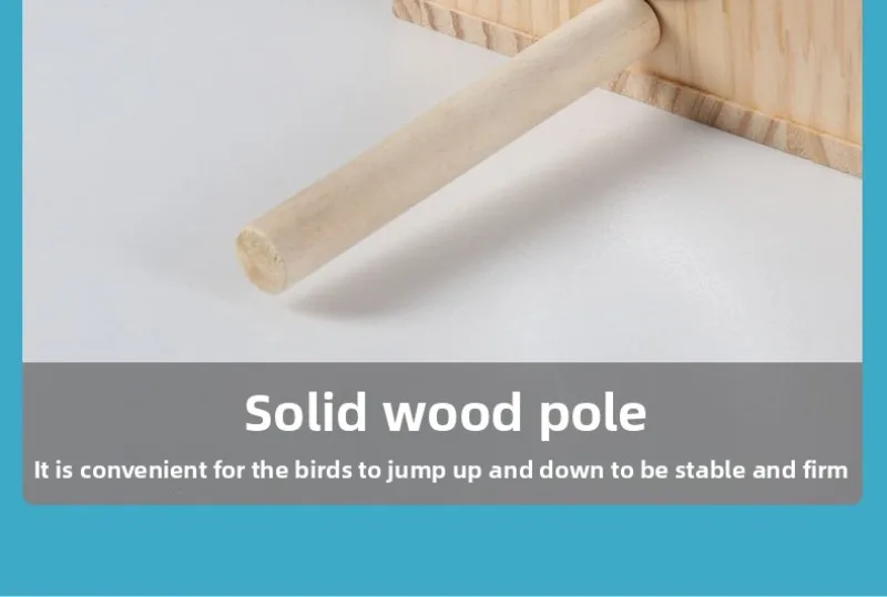 Nido colgado en una rama exterior con pájaros acercándose