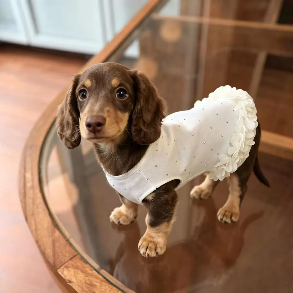 Vestido veraniego con volantes para perras Dachshund – de algodón - imagen 4