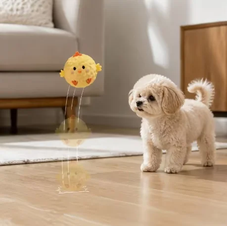Mascota jugando con la pelota rebotante