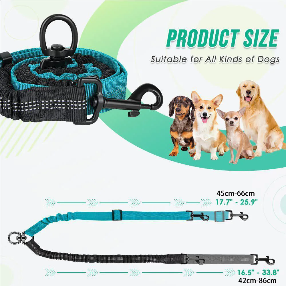 Correa elástica extensible doble para perros, cinturón y entrenamiento - imagen 4