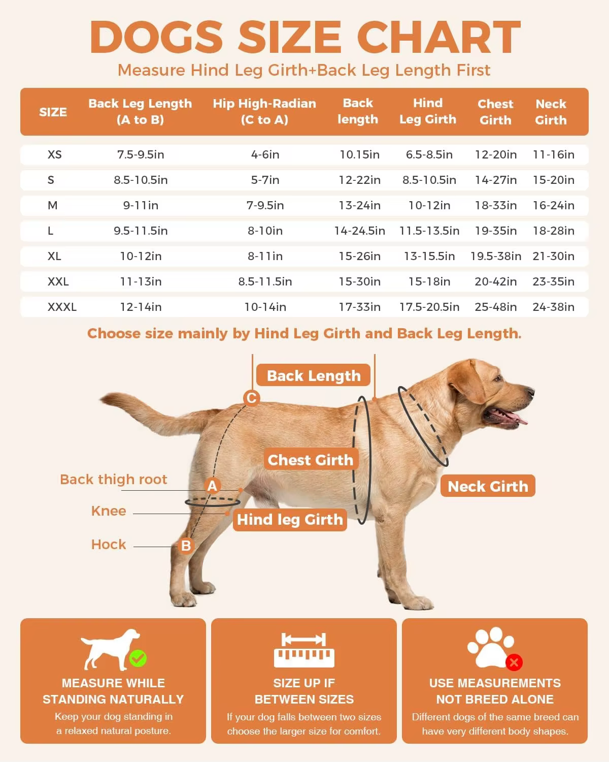 Ajuste ergonómico del arnés para perros