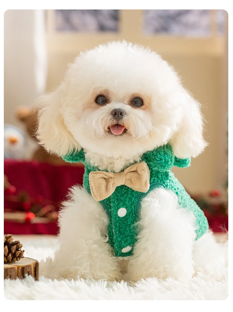 Conjunto de Navidad para perro