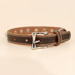 Collar de cuero para perro con púas antipinzamiento ajustable