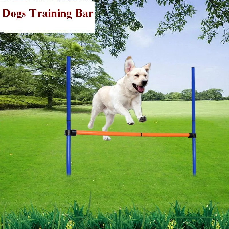 Perro saltando obstáculos vista lateral