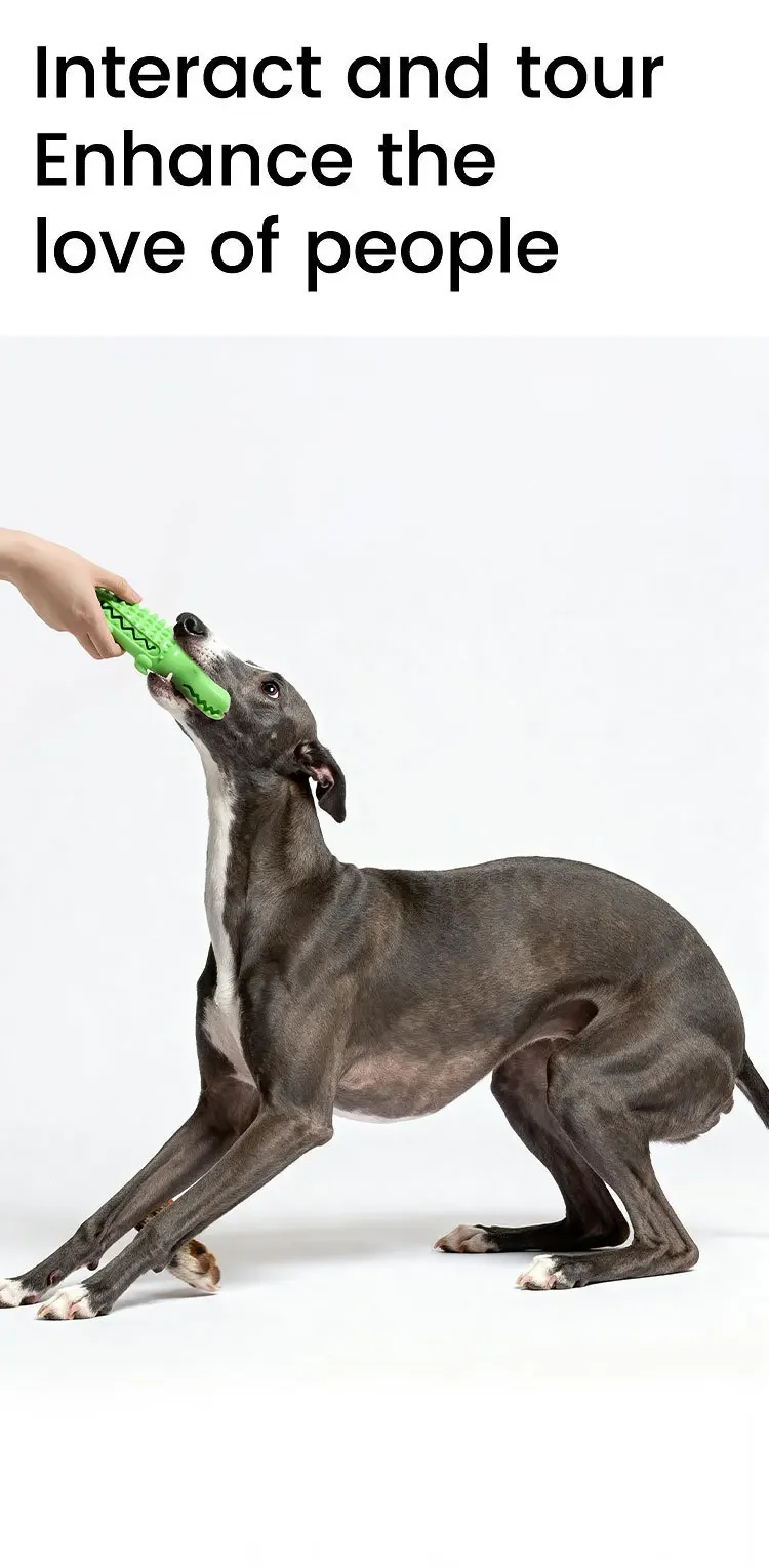 Cocodrilo ideal para masticar y jugar