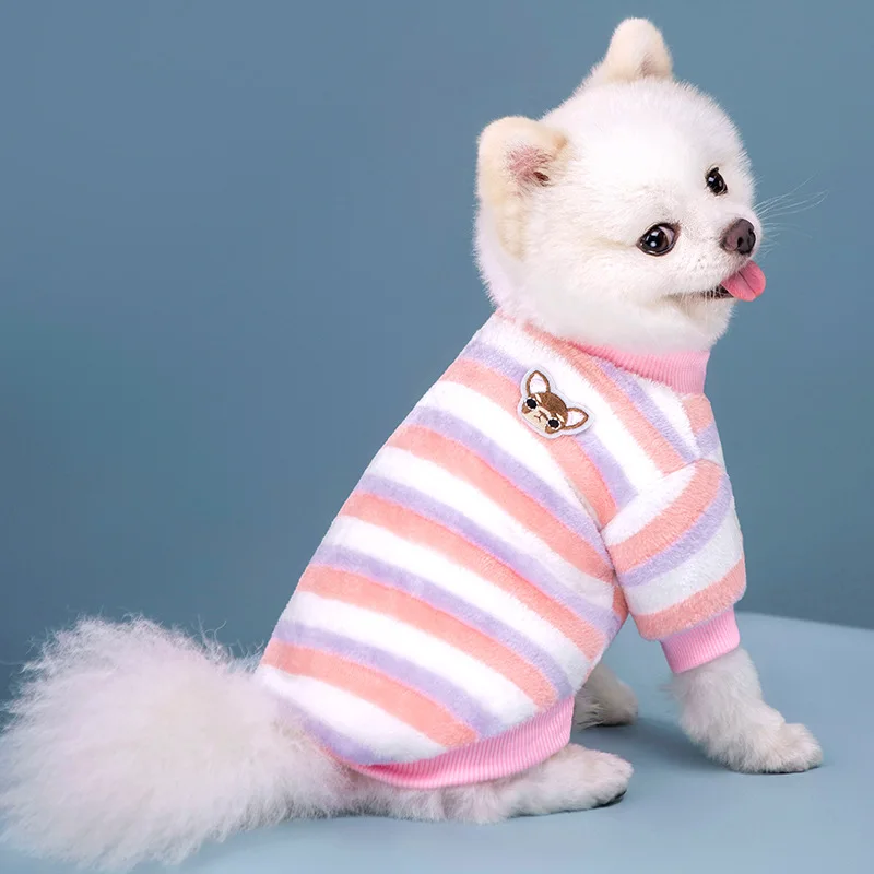 Guía de tallas en perro medido