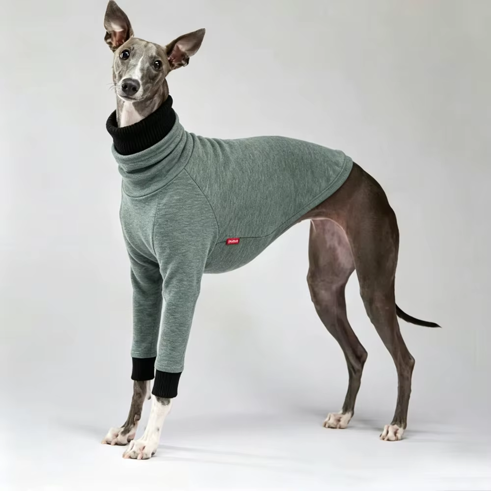 Camiseta perro cuello alto algodón elástico manga larga Galgo Italiano - imagen 5