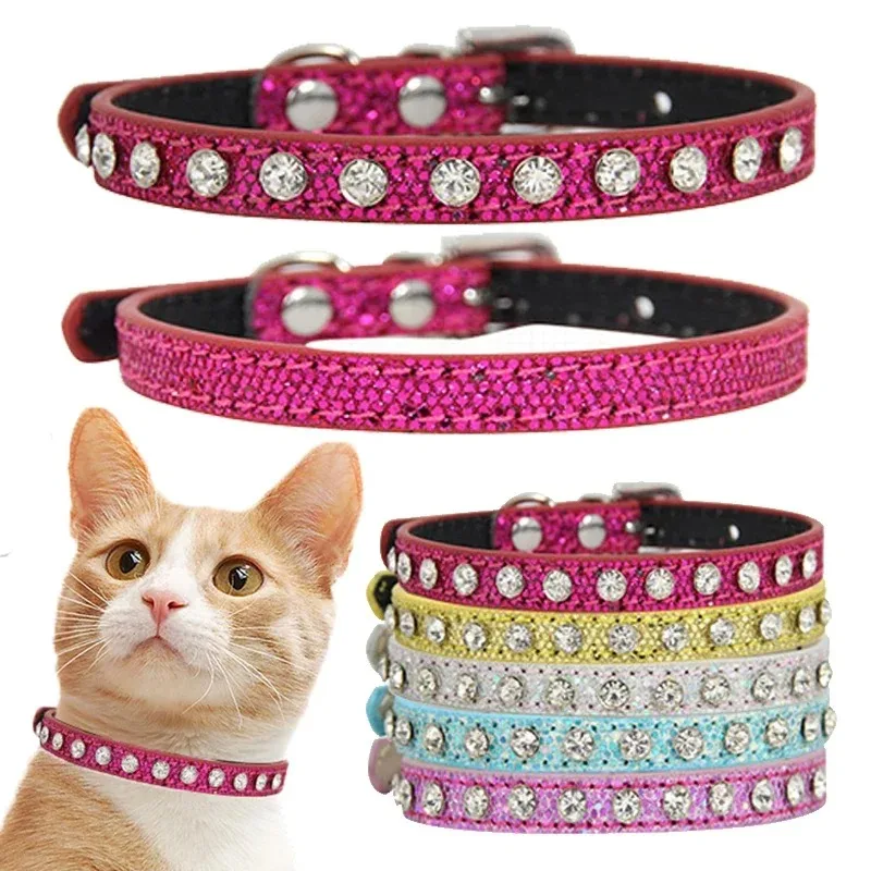 Collar puesto en un cachorro