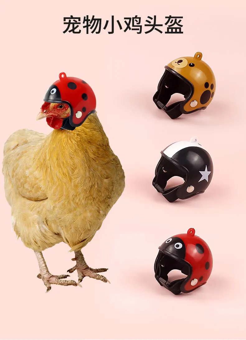 Protección divertida para aves