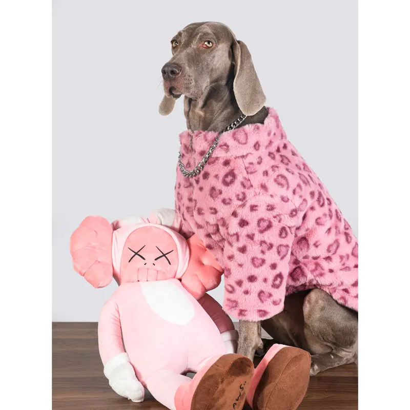 Perro usando la chaqueta de lana