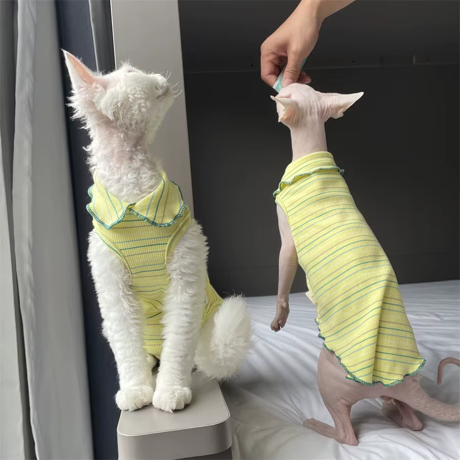 Ropa para gatos Sphynx: camiseta suave algodón a rayas, broche - imagen 2