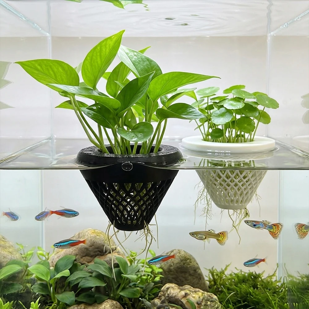Soporte flotante para plantas de acuario: cesta filtrante - imagen 3