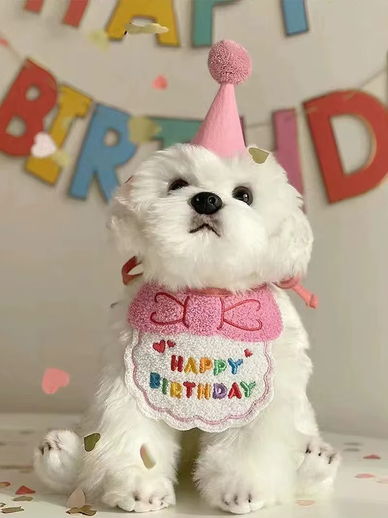 Variedad de accesorios para mascotas