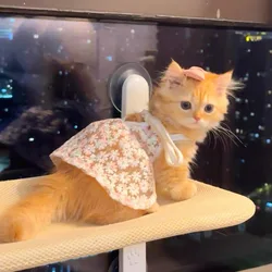 Ropa para perros pequeños: vestido floral con chaleco a cuadros