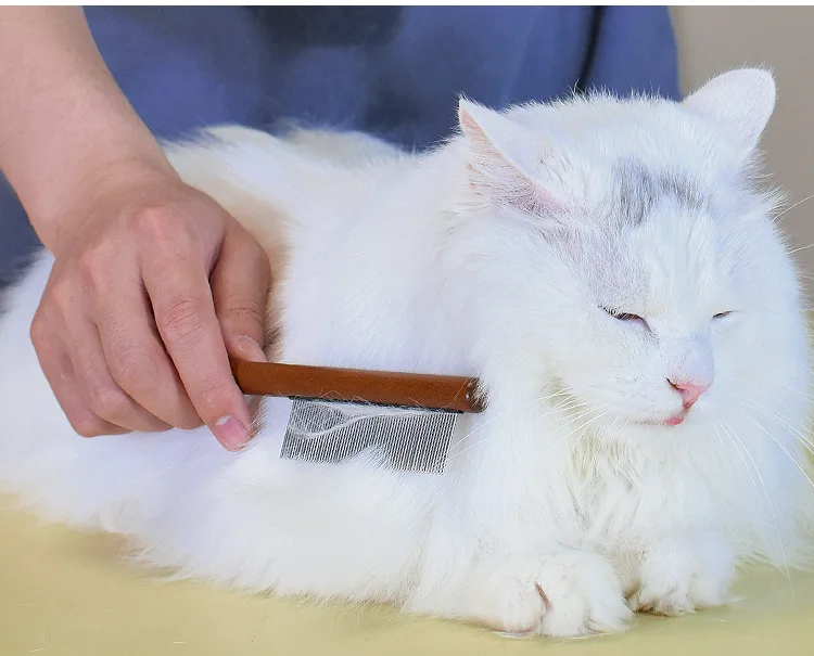 Detalle de los dientes de acero inoxidable