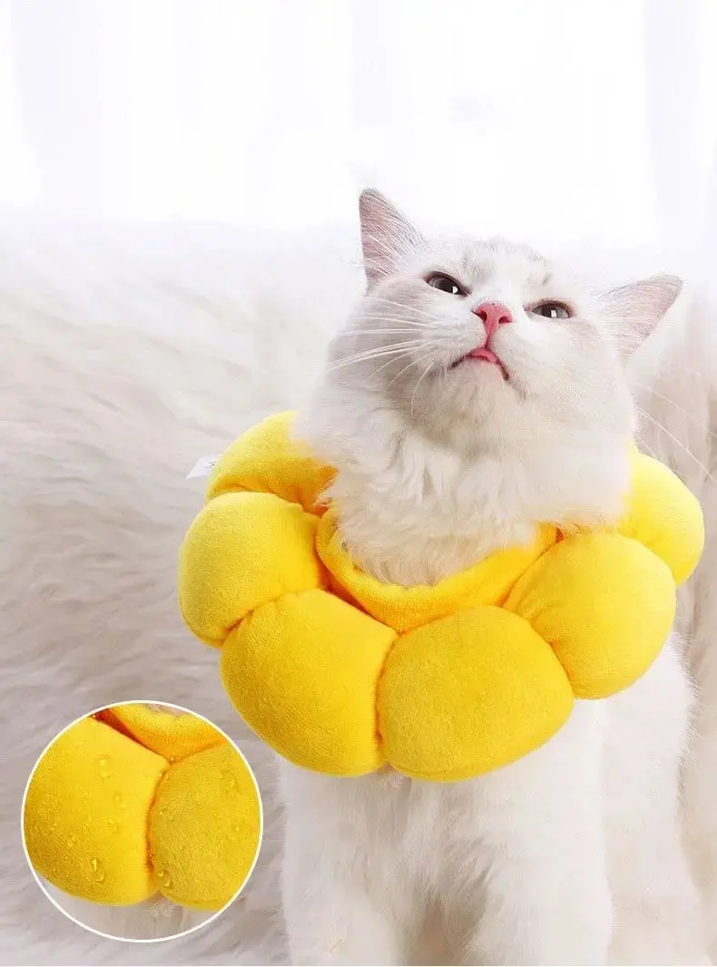 Collar de girasol para mascotas - uso diario