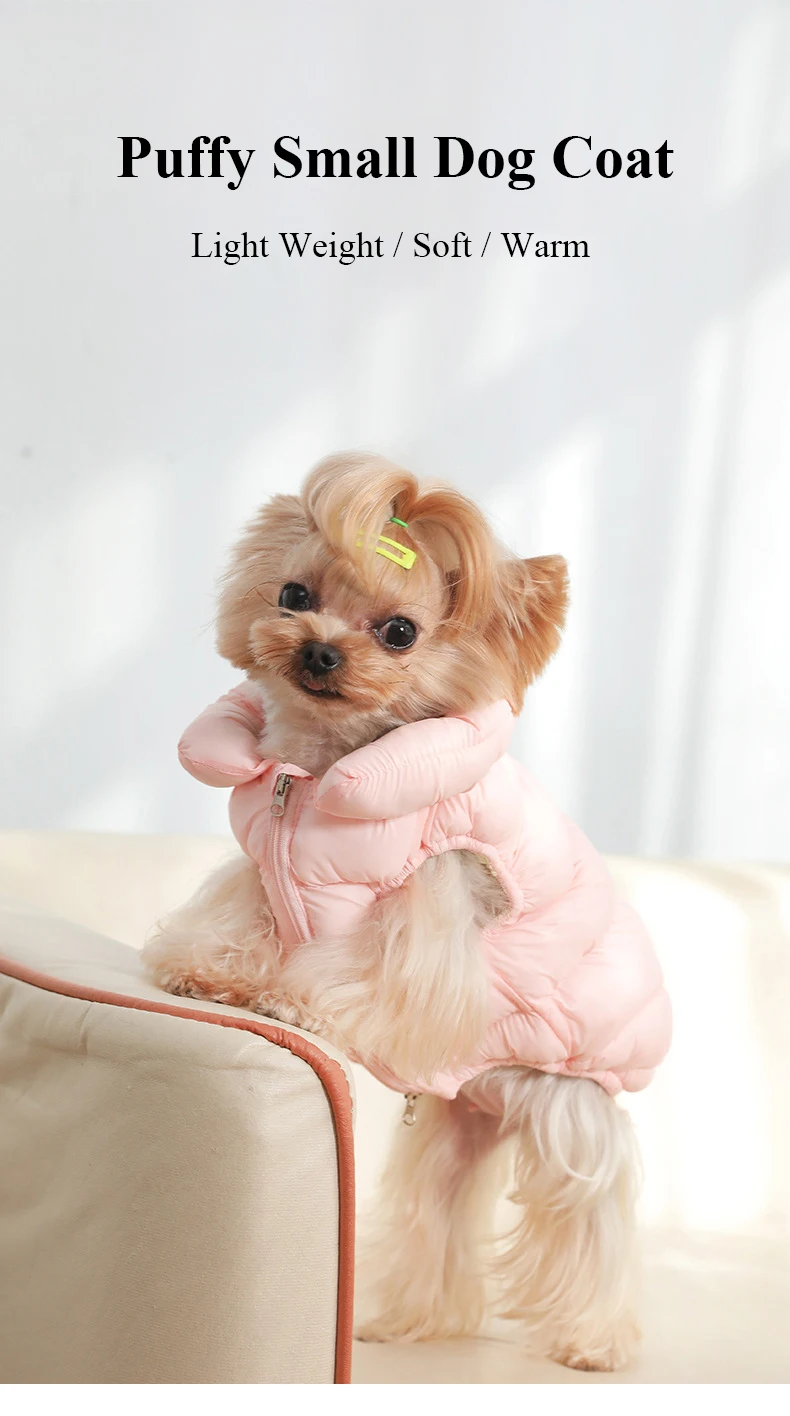 Various colors of dog winter jackets