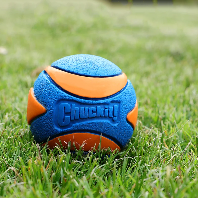 Pelota mordedora de caucho natural para perros y cachorros - imagen 3