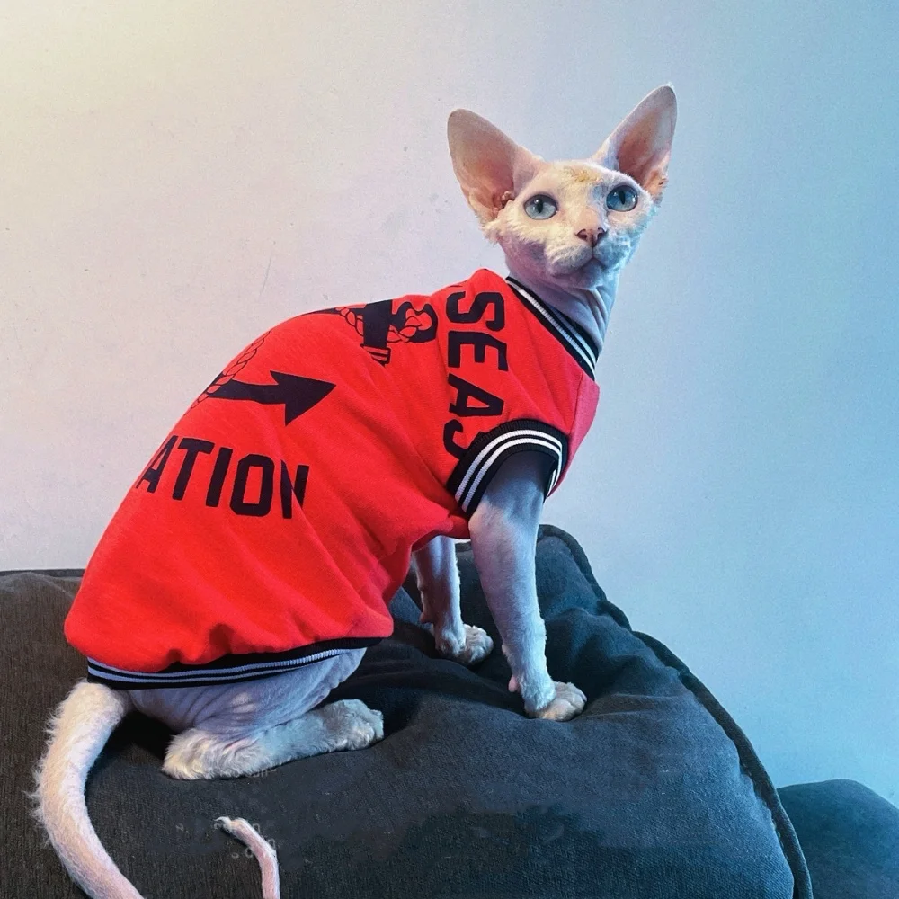 Gato Sphynx con camiseta roja