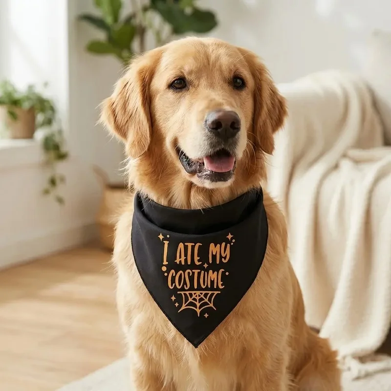 Pañuelo triangular Halloween para perro con estampado divertido - imagen 4