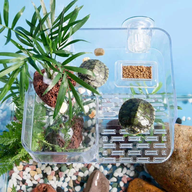 Plataforma flotante de acrílico para tortugas: sol y zona de comida - imagen 3