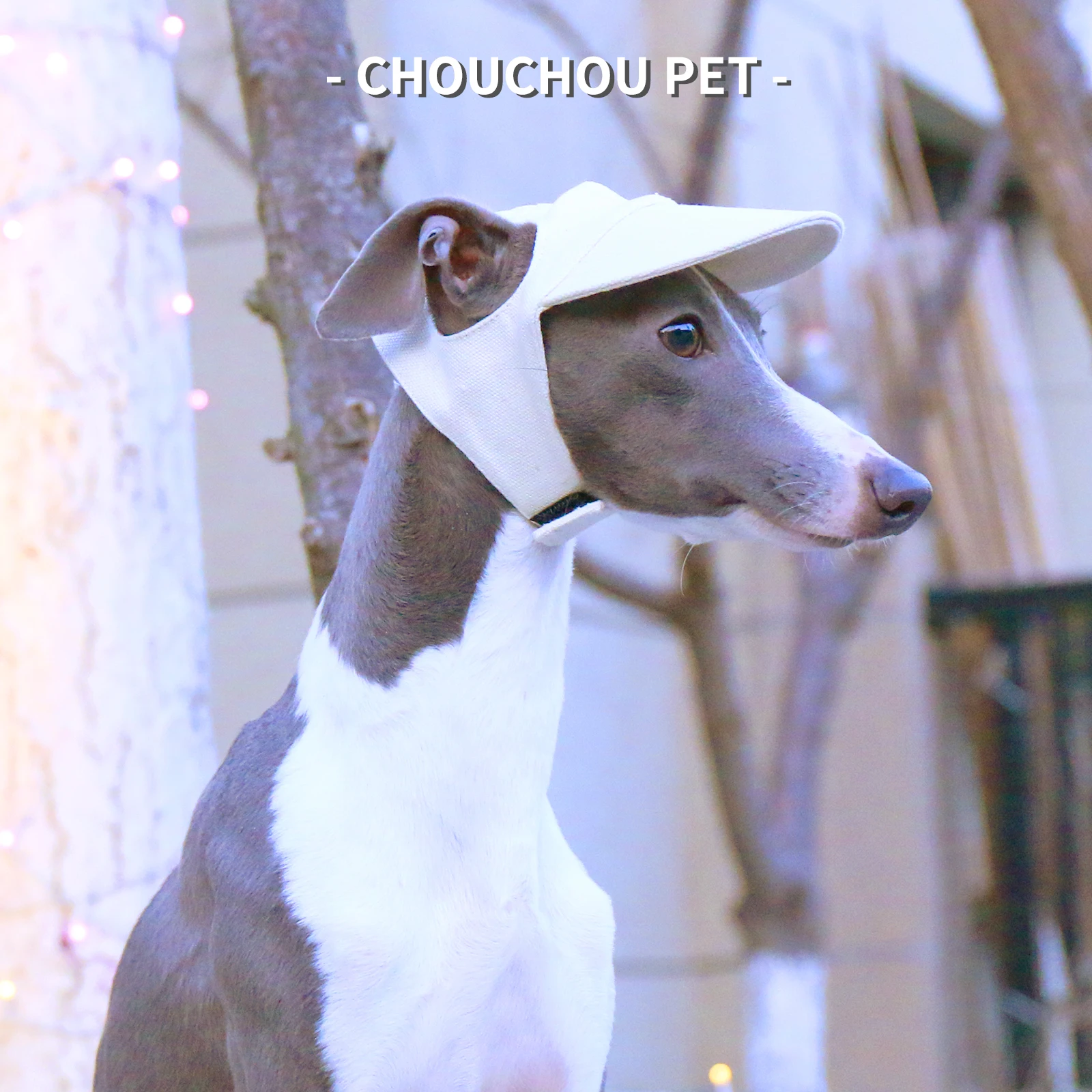 Mascota siendo medida con cinta