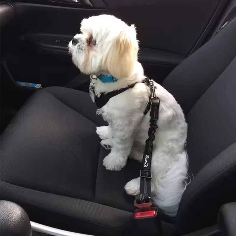 Cinturón de seguridad para perro en coche - vista general