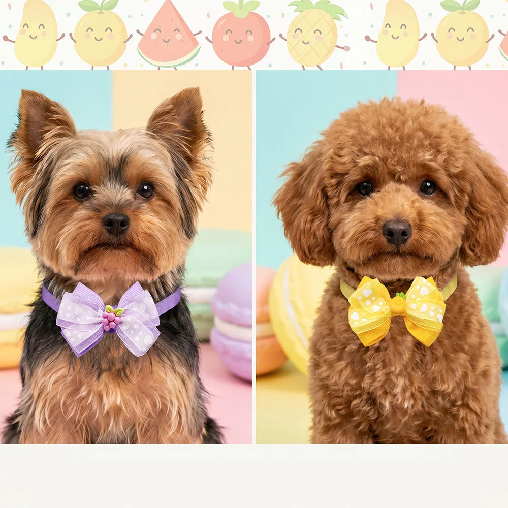 Pajarita frutal para mascotas pequeñas
