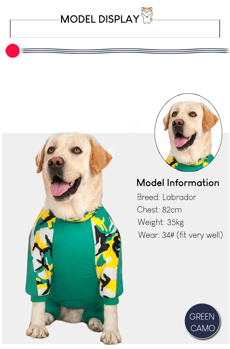 Guía de tallas para perros