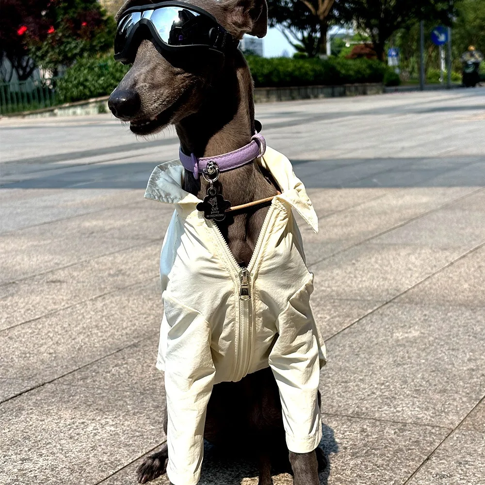 Camiseta anti-UV para perros Greyhound y Whippet, secado rápido - imagen 4