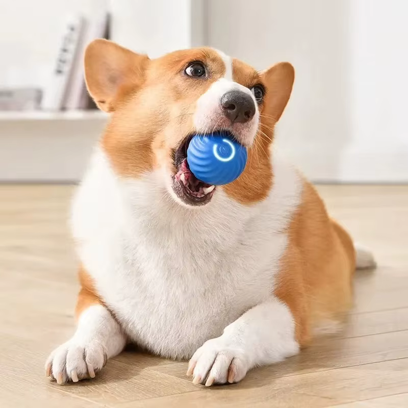 Pelota interactiva para perros y gatos con diseño seguro
