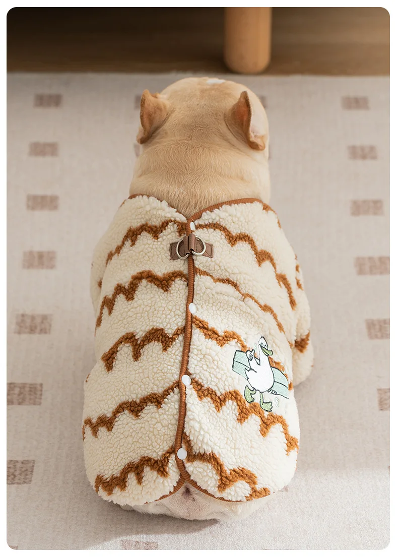 Perro con chaqueta Bulldog