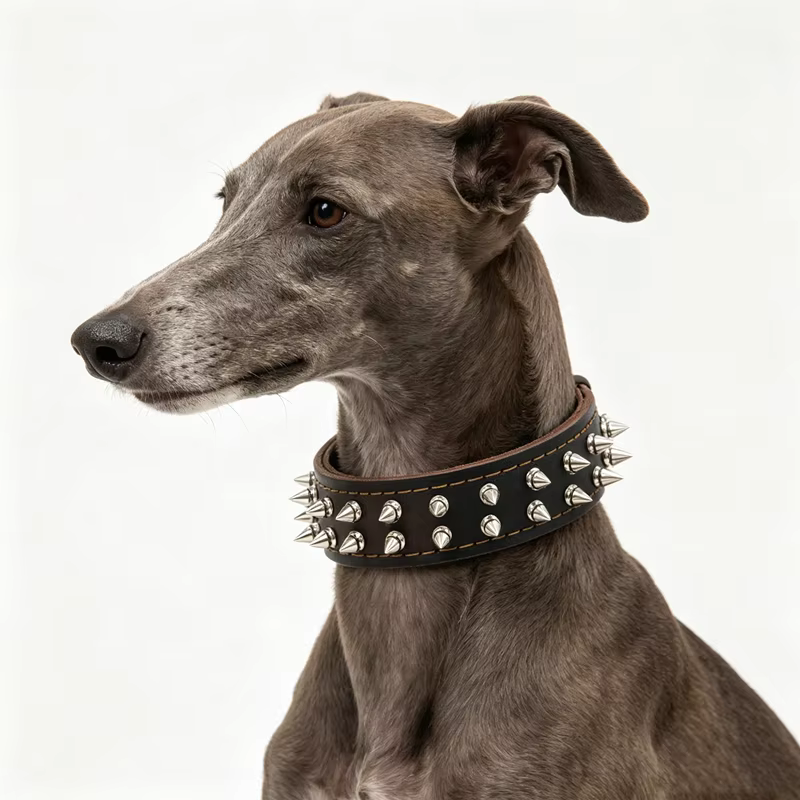 Collar con Púas para Perro – Cuero Genuino Antimordiscos - imagen 3
