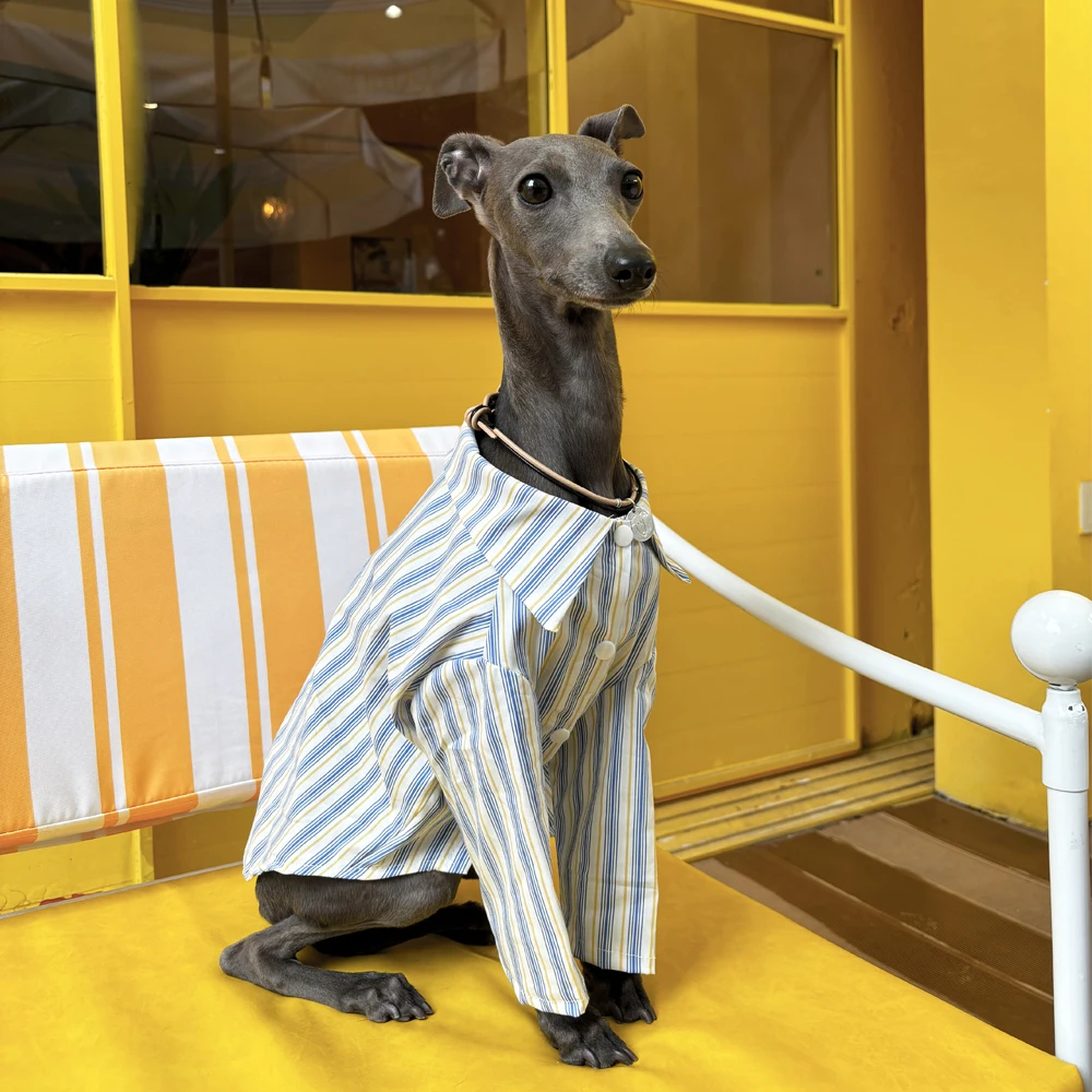 Camisa de verano para perros con tela transpirable y acabados de calidad