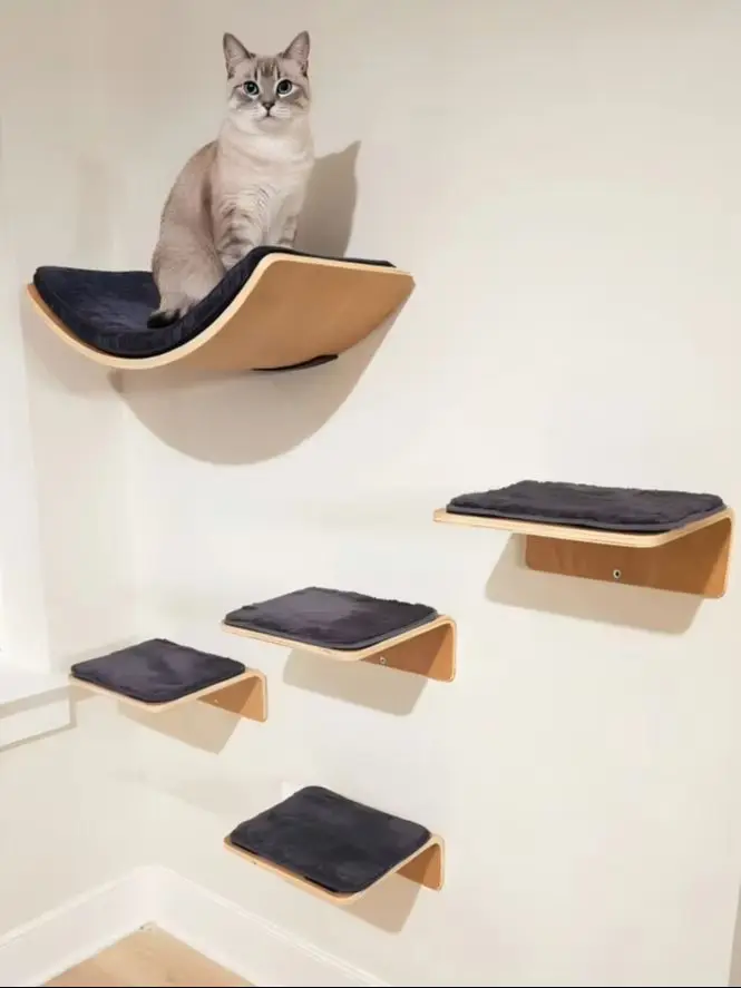 Espacio vertical con plataformas