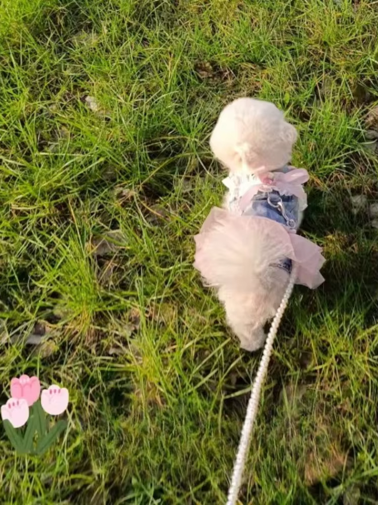Disfraz vestido tutú de mezclilla con encaje para gatos y perros - imagen 3