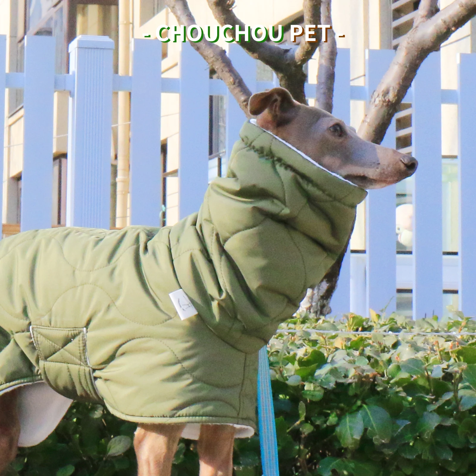 Perro wearing la chaqueta en posición lateral