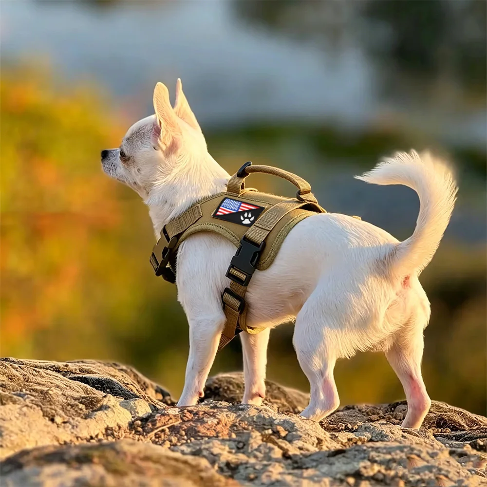 Arnés antiescape para gatos y perros pequeños con correa - imagen 3