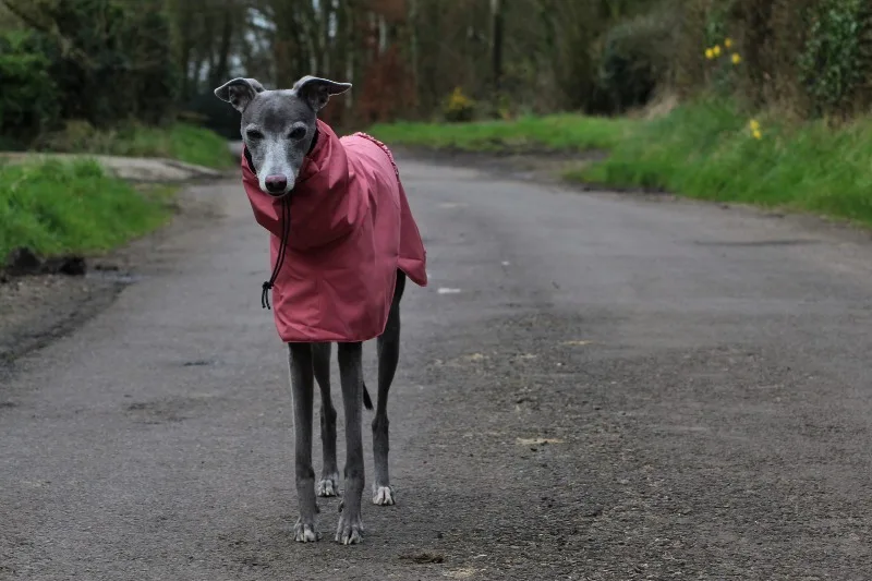 Detalle del cuello alto y cierre con botones