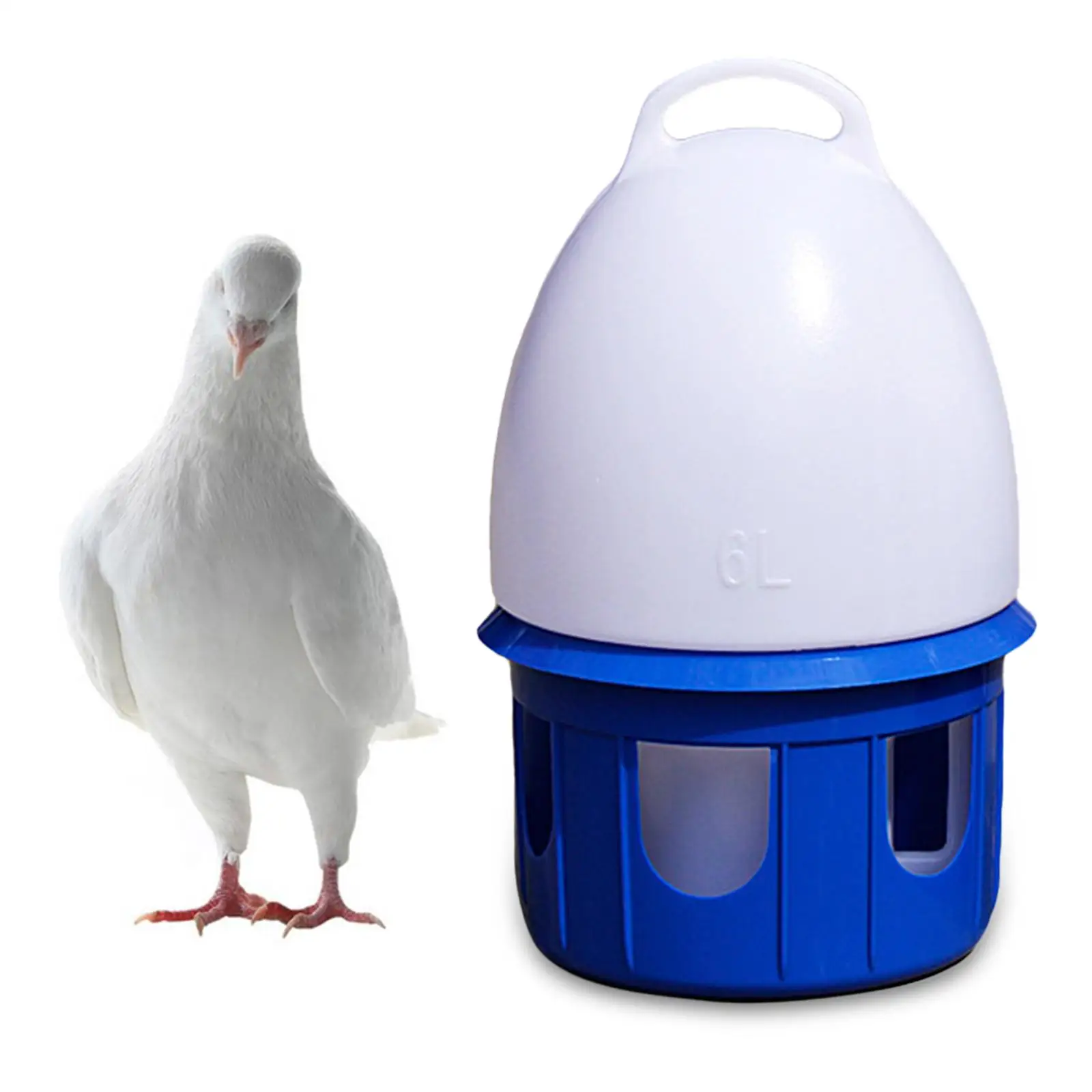 Bebedero para pájaros de exterior en uso en jardín