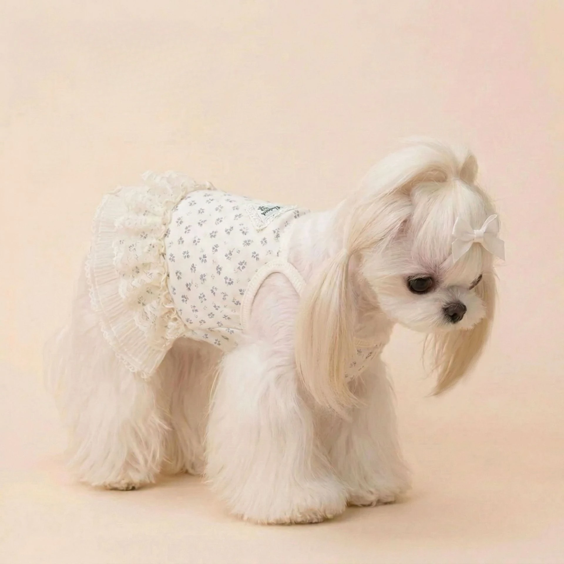 Vestido floral de encaje para perros pequeños, primavera y verano - imagen 5