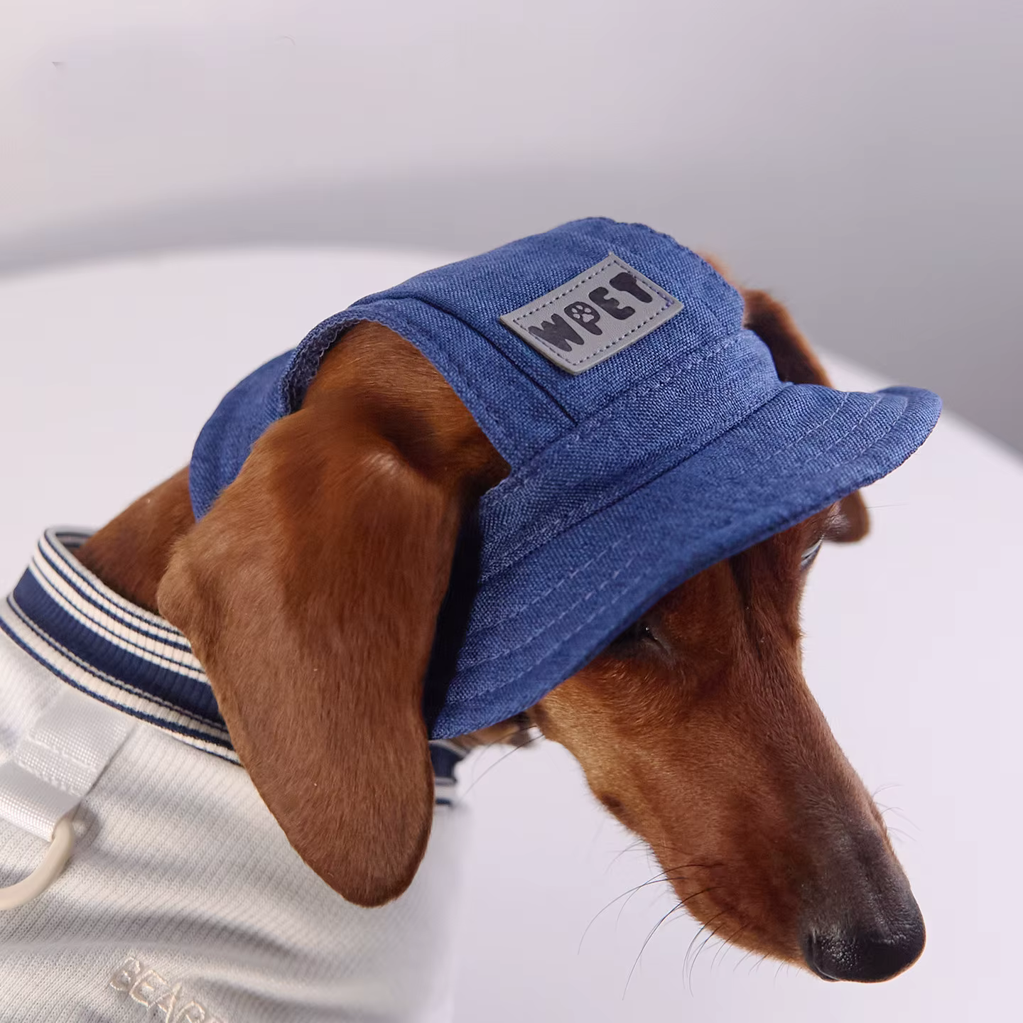 Gorra para perro con visera y protección solar en paseos - imagen 2
