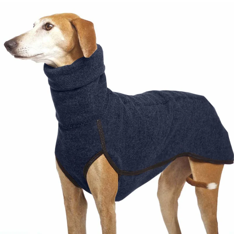 Perro en movimiento con la chaqueta
