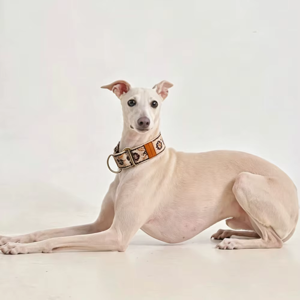 Collar martingale ajustable suave para perros: Whippet y galgo - imagen 3
