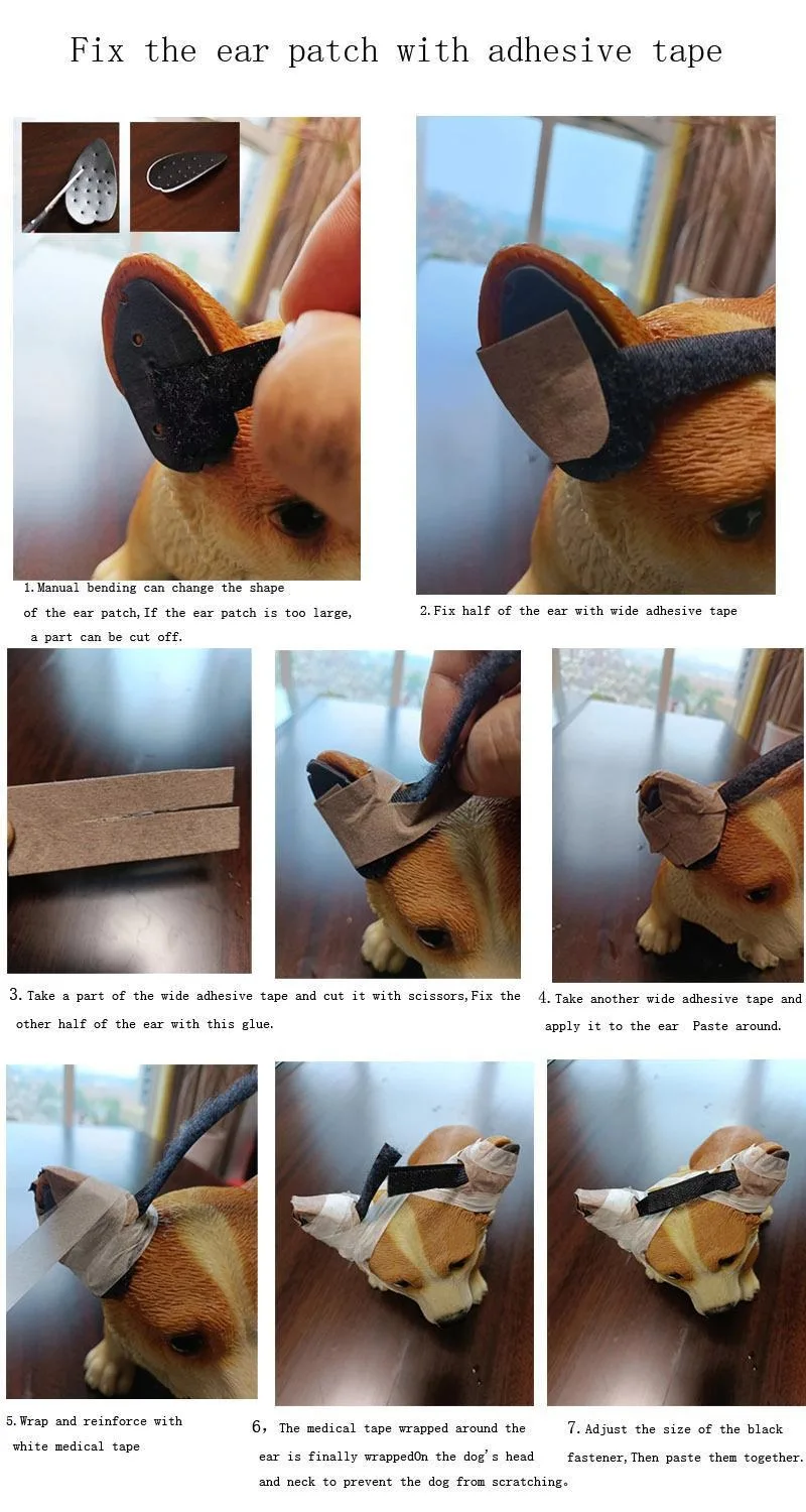 Parche aplicado en oreja de perro